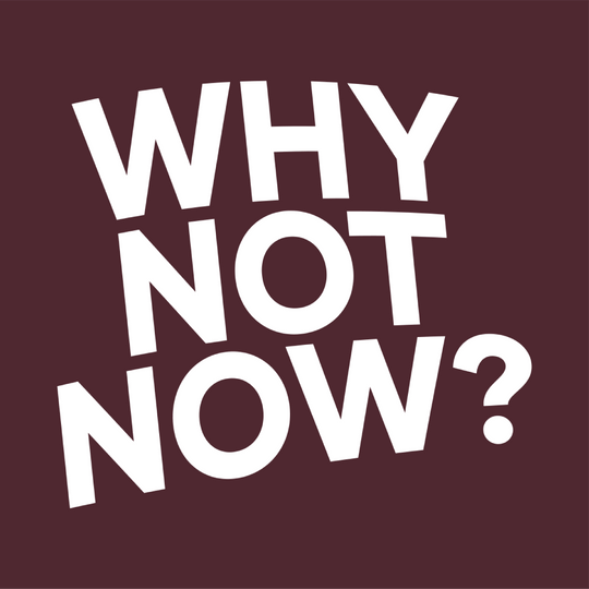 Why Not Now tee - Only Human